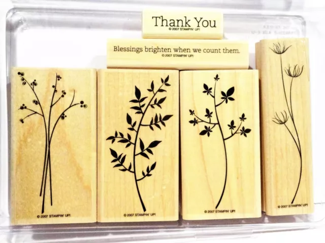 Stampin Up Staminali Sagome Legno Montatura Timbri Fiore Steli Bacca Brocca Da