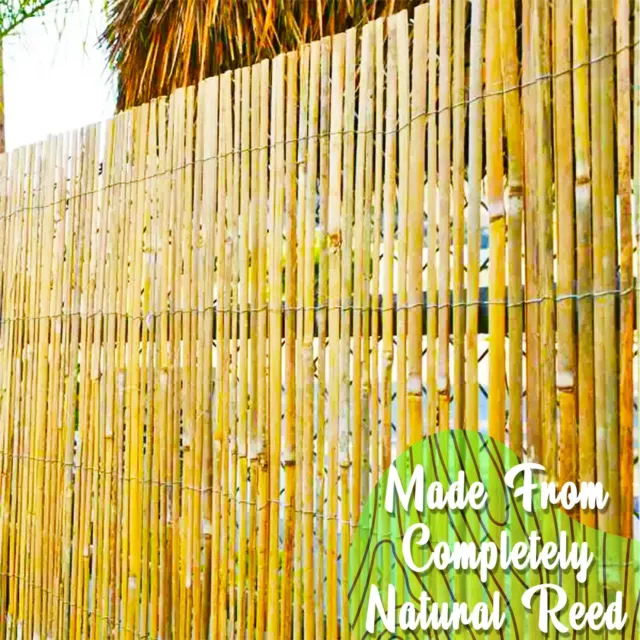 4m Reed Fence Screening Roll Natural Fence Panel Peeled Fencing Outdoor Garden