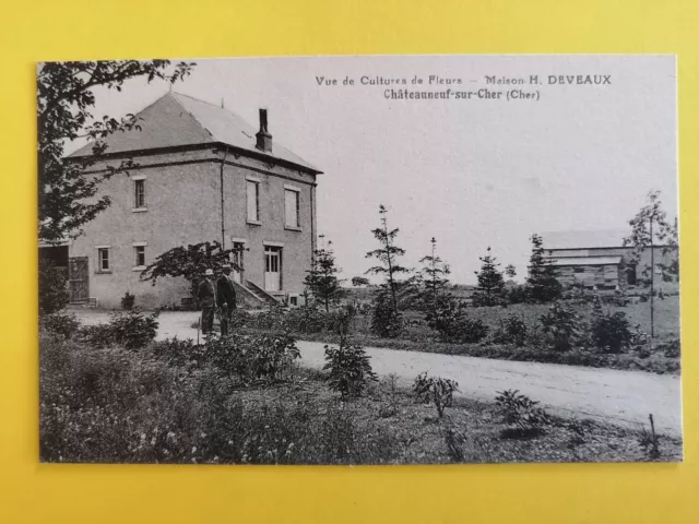 CPA FRANCE CHATEAUNEUF sur CHER Cultures de FLEURS Maison H. DEVEAUX Animés