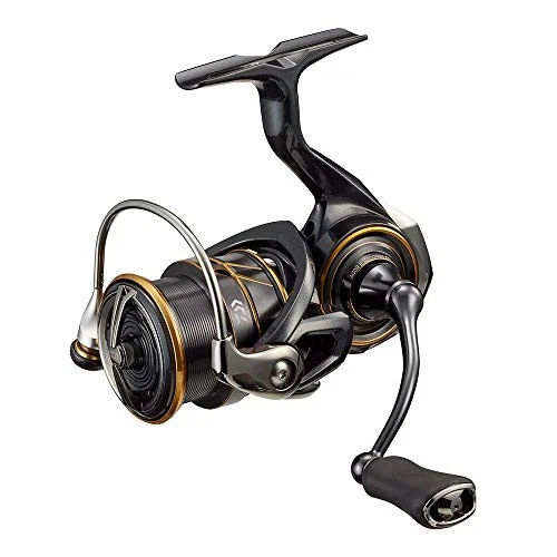 ダイワ　CALDIA 2004 DAIWA CALDIA 2004 Spinning Reel big game fishing silver w