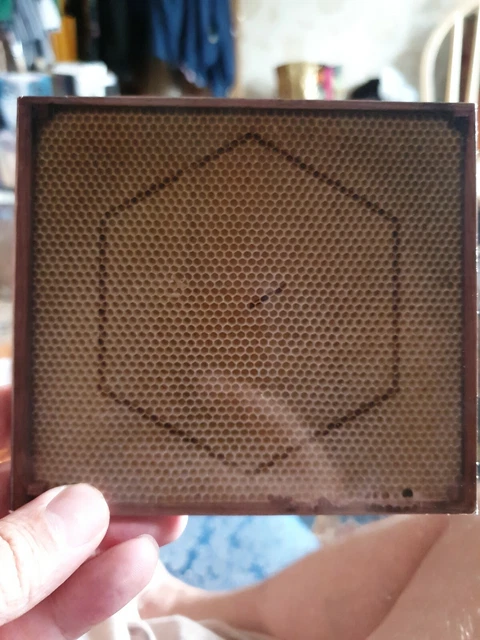 Beekeeper by Rangleklods | CD | condition very good