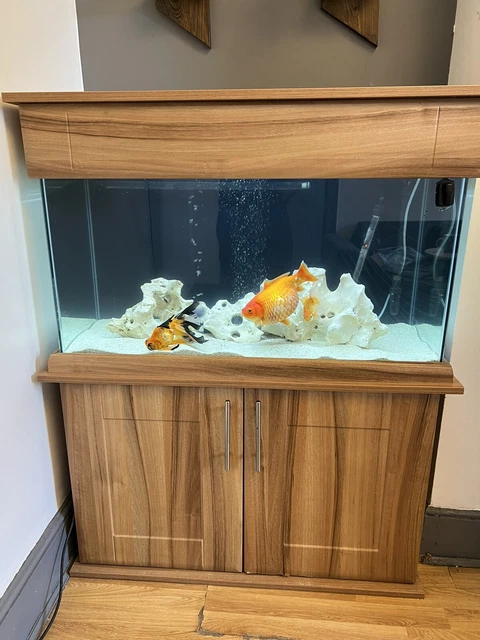 200L fish tank aquarium with initial setup accessories (very good filter, heater