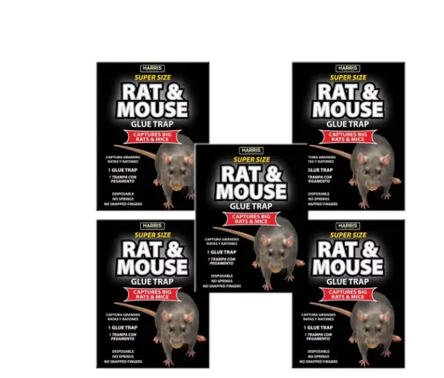 Harris Rat and Mouse Glue Trap Super-Size (5-Pack)