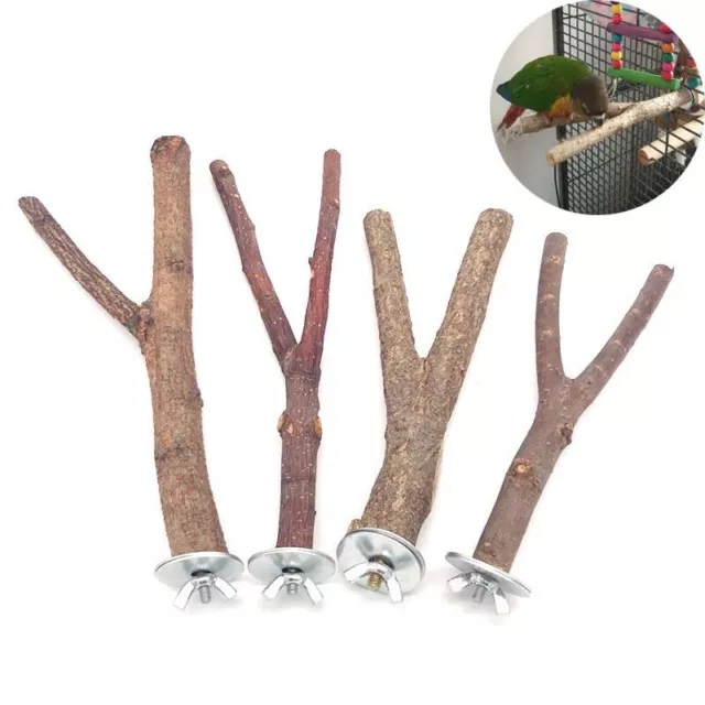 Natural Wood Pet Perch Parrot Raw Wood Fork Tree Branch Stand Rack Bird Perches