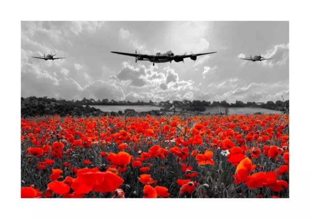 Lancaster Spitrire Hurricane RAF poppies  A4 Printed Poster with choice of frame