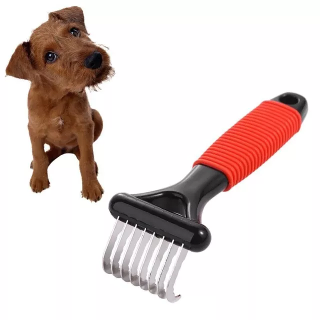 STAINLESS STEEL PET Hair Remover Comb Pet Supplies Cat Rake Comb Dog ...