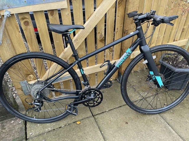 Pinnacle discount girls bike