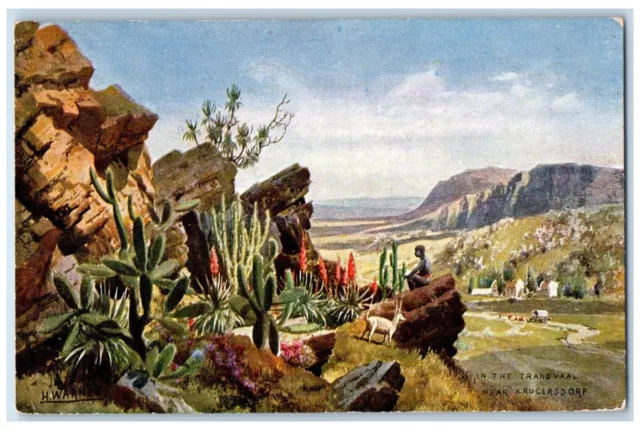 c1910 In The Transvaal Near Krugersdorp South Africa Oilette Tuck Art Postcard