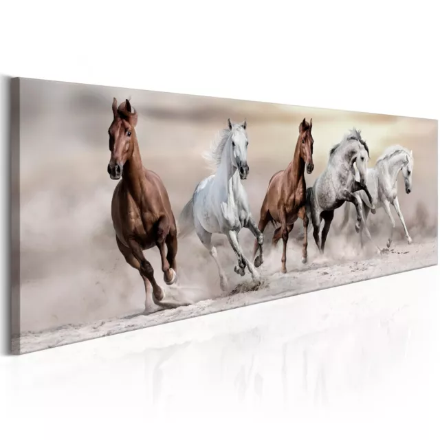 TIERE PFERDE NATUR FOTO GALOPP Wandbilder xxl Bilder Vlies Leinwand g-B-0039-b-a