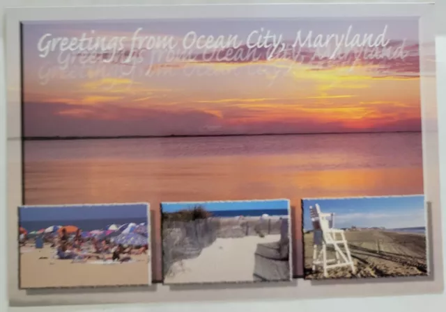 Ocean City Maryland Beaches Multi View Postcard 4X6 Chrome Unposted