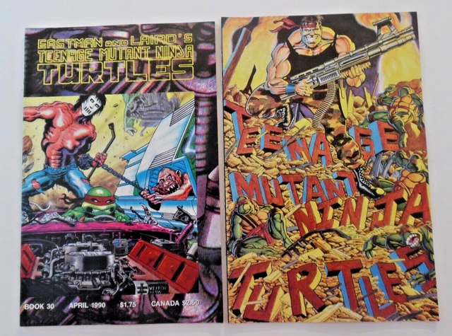 MIRAGE  teenage mutant ninja turtles - LOT OF 2 COMICS - #30 34