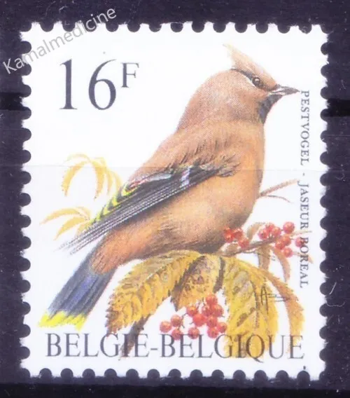 Belgium 1994 MNH, Bohemian Waxwing, Birds of Buzin
