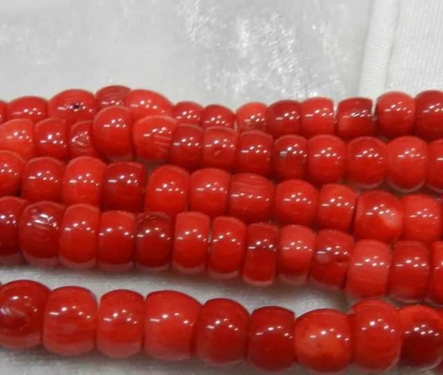 Natural 5x8mm Red Coral Barrel Loose Beads 15'' Strand PL69