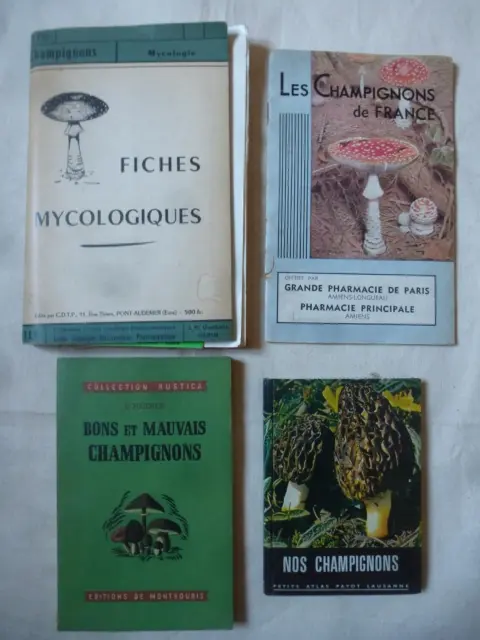 Lot de 4 ouvrages sur les champignons, mycologie vers 1960