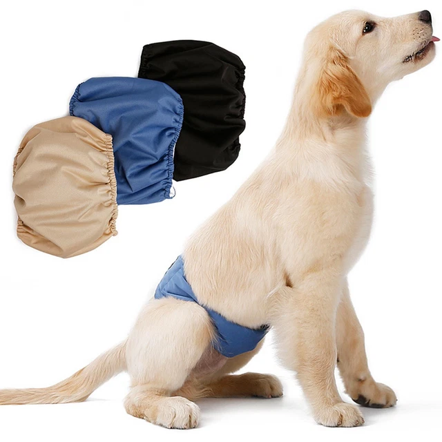 Physiologische Hundehose, waschbare, wiederverwendbare, wasserdichte