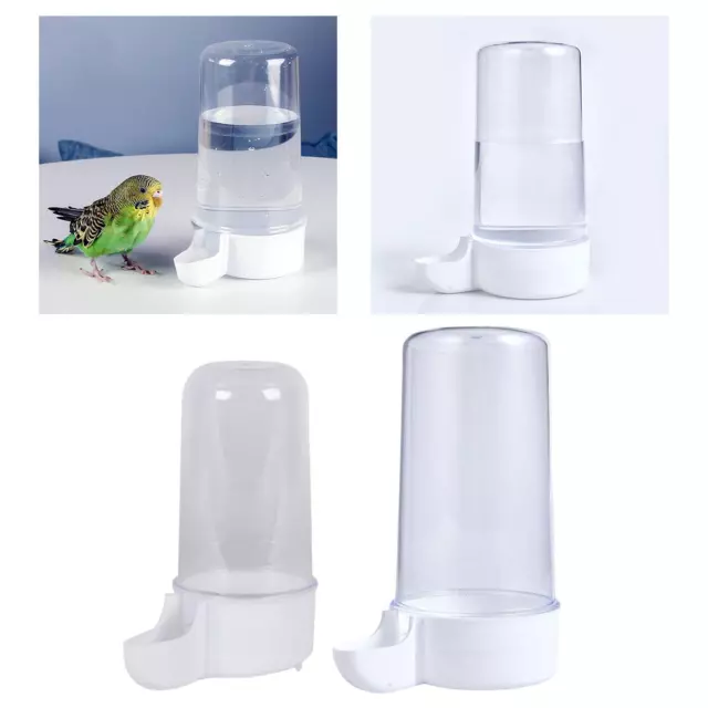 Mangiatoia per uccelli pappagallo, distributore di acqua per piccioni