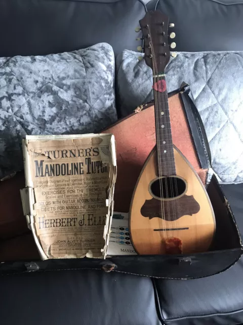 mandolins in musical instruments