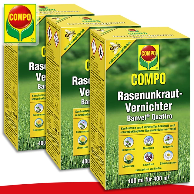 Gundermann Bekmpfen COMPO Unkrautvernichter Banvel Quattro  GmbH  Knoblauch Granulat