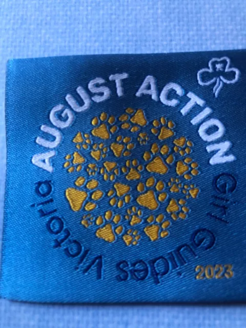 Girl Guides / Scouts August Action 2023