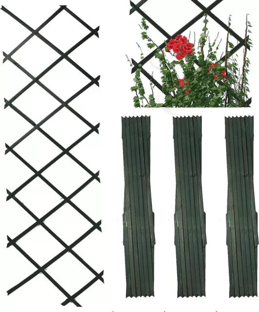 DIVCHI Wooden Trellis Pack of 3 Expandable Garden Wall For Climbing Plants