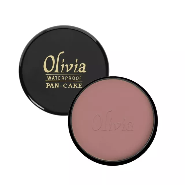 5 PC x 25 GM Olivia Pan Cake Waterproof Touch & Glow Makeup Concealer Shade 29