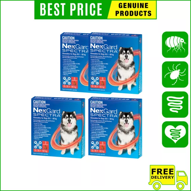NEXGARD SPECTRA Flea Heartworm Control 3,6,12 Chews for Dogs 30.1 to 60 Kg RED
