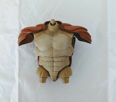 spider man armadillo