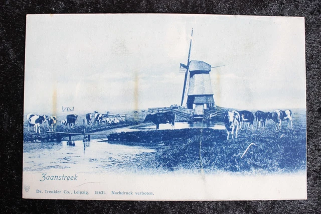 Postkarte Ansichtskarte Lithografie Belgien Zaanstreek (M)