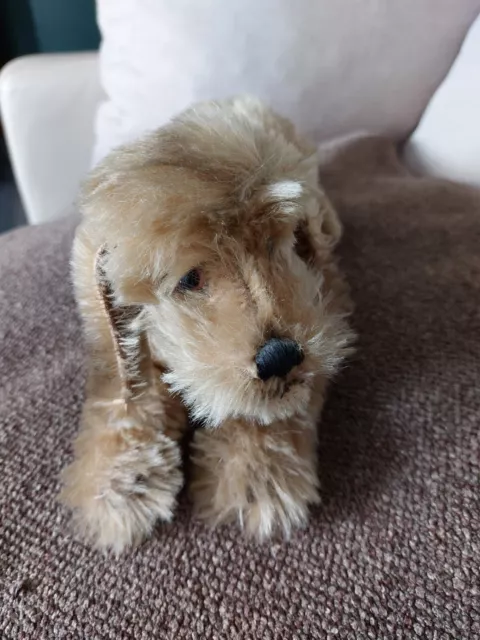 Steiff Hund liegend Dackel Terrier? Nur der Knopf vorhanden