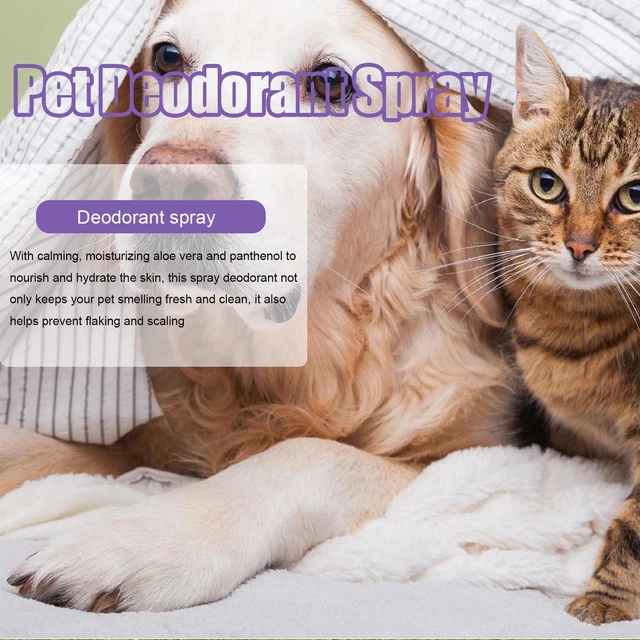 50 ml desodorante en aerosol perro gato olor corporal heces S desodorante H4V7