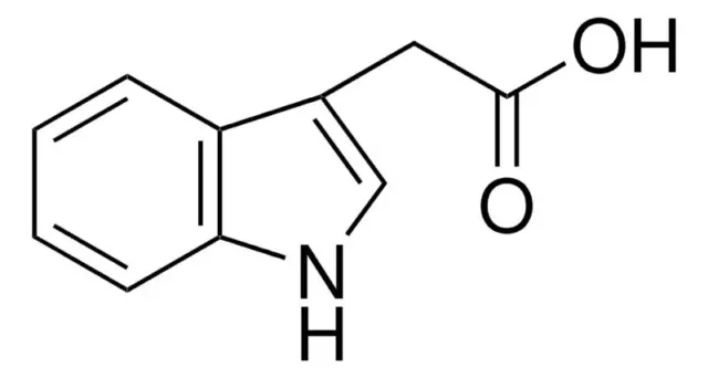 1H-Indole-3-acetic acid, 99+% - 10g