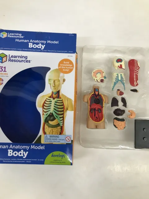 Learning Resources Wissenschaftsset zur menschlichen Anatomie