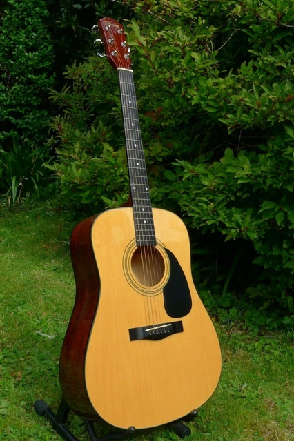 Fender dg5nat deals
