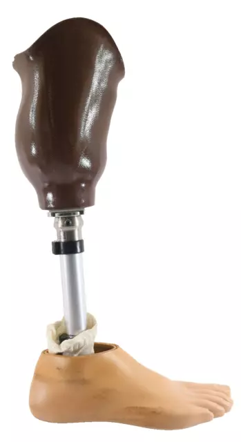 OttoBock Titan 4R52 Below the Knee Prosthetic Right Leg/Foot