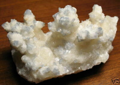 Large Beautiful Blue Celestine Crystals on Calcite Ex. Awald Collection