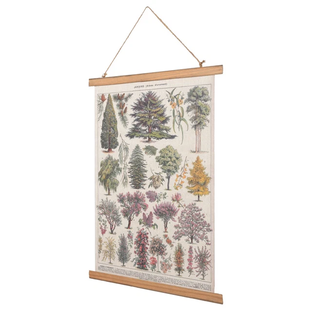 Maderas Rollo Oficina Impresiones Botánicas Boho Decoración Pared