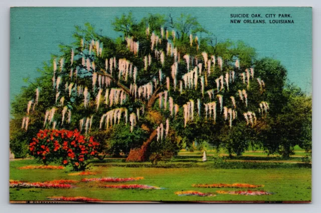 SUICIDE OAK CITY Park New Orleans Louisiana Vintage Unposted Linen ...