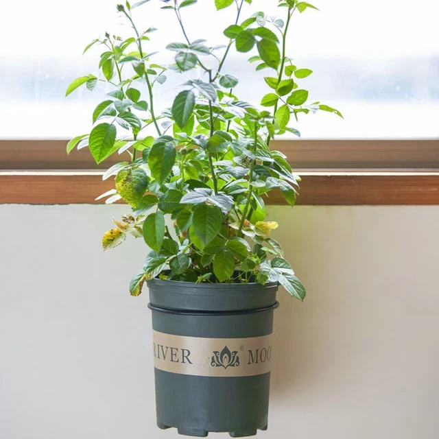 Sill de fenêtre Balcon Pot à fleurs suspendu, Pot de planteur, Garde-corps 7