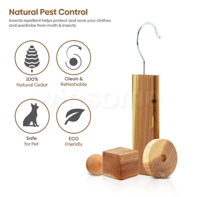 Legno di cedro legno naturale falena e sfere di odore vestiti da appendere deterrente per insetti 3