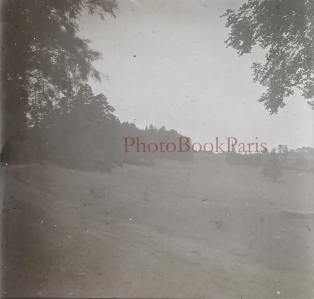 Vintage Landscape c1930 Photo Stereo Glass Plate V17T13n5