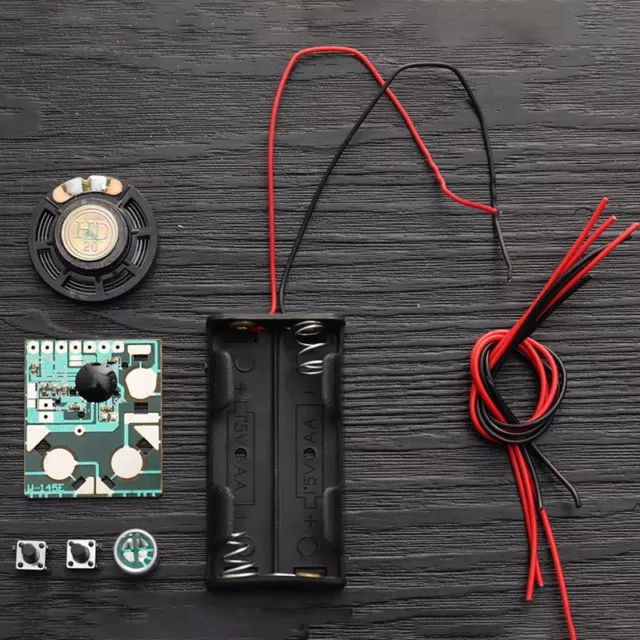 Micro Voice Recorder Voice IC Chip Sound Module DIY Kits Recorder Record Pen TLN