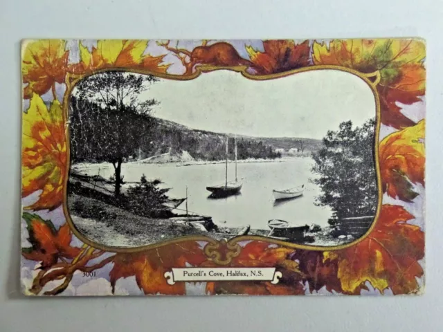 Purcell's Cove, Halifax, N.S. Canada DB Postcard 1906 Post Leaf Border 3336