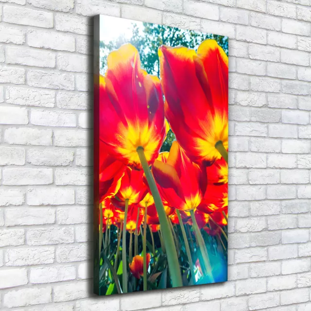 Leinwand-Bild Kunstdruck Hochformat 50x100 Bilder Rote Tulpen