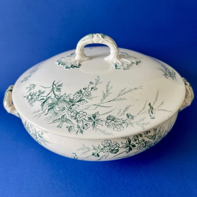 creil et montereau linotte ravier