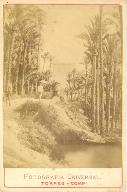 Algérie, Oasis à Biskra  Vintage albumen print.  Tirage albuminé  10x15  C