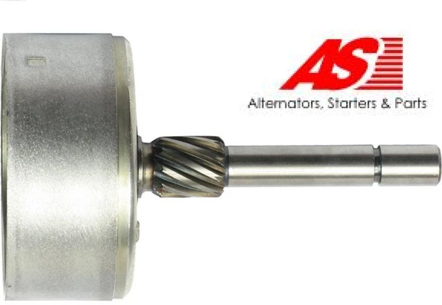 AS-PL SG4004 Hohlrad für Planetengetriebe (Starter)