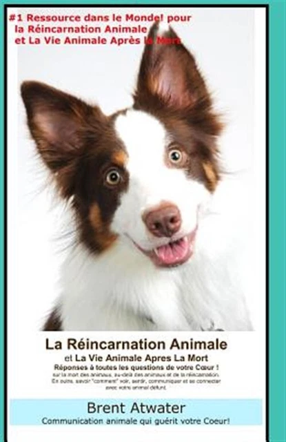 La Reincarnation Animales Et La Vie Animale Apres La Mort: Reponses a Toutes ...