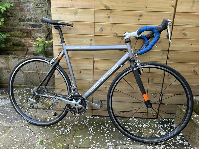 Ridgeback genesis day 02 sales