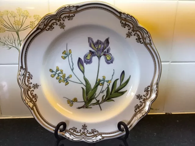 Spode China Stafford Flowers Dinner Plate ENGLAND Iris & Sphaerolobium 11"