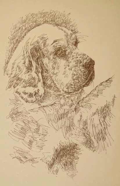 Clumber Spaniel Dog Art Print #23 DRAWING FROM WORDS Kline draws dogs name free.